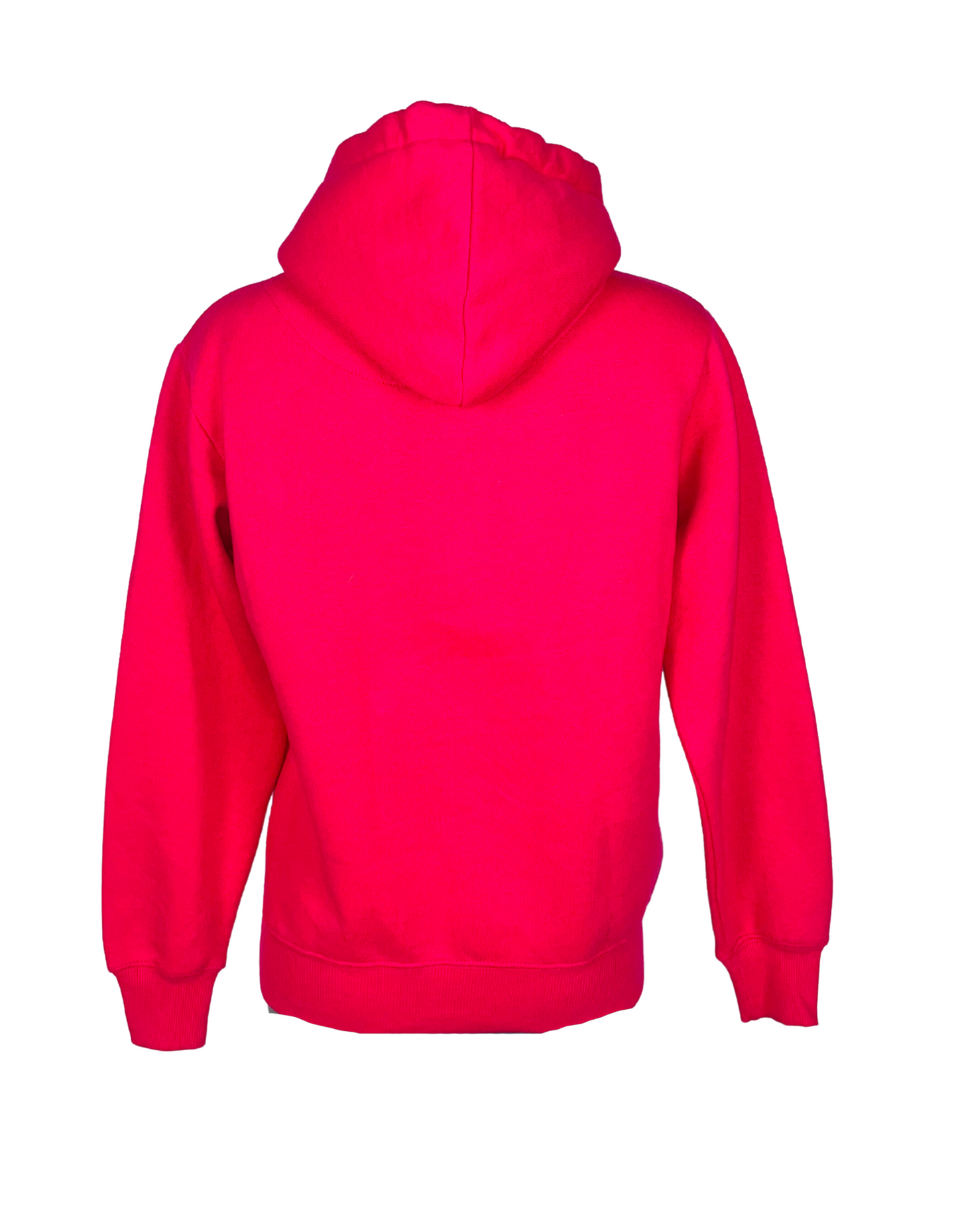 THE NORTH FACE HOODIE PINK SMALL
