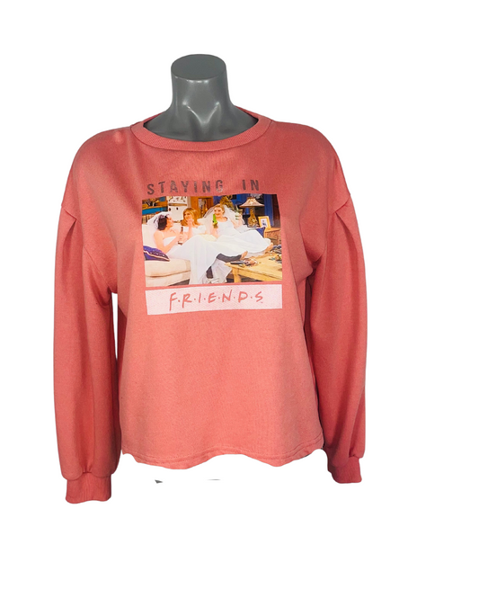 PINK FRIENDS SWEATSHIRT SIZE 12/14